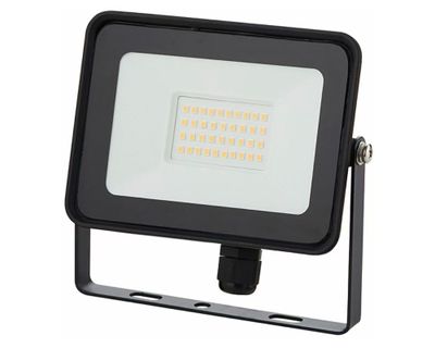 Imagen 2 del producto Proyector LED 30W luz fría