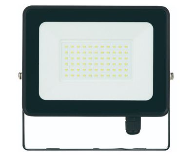 Proyector LED 50W luz fría