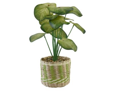 Imagen 1 del producto Planta decorativa artificial México D1