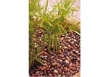 Imagen 2 del producto Piedra ágata 2 kilos