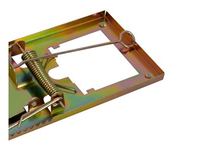 Imagen 2 del producto Trampa ratón Lioi