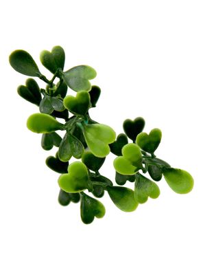 Imagen 2 del producto Jardín Vertical Cochamo