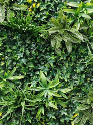 Imagen 2 del producto Jardín Vertical Amazonas