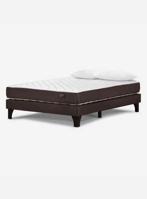 Cama Europea Ergo T 2 Plazas + Almohada