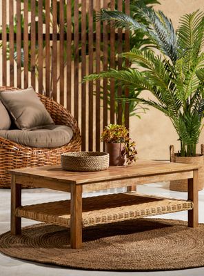 Imagen 1 del producto Mesa de Centro Indo 67x111 cm