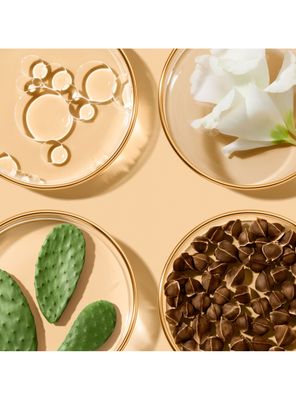 Imagen 2 del producto Nueva Crema Hidratante Revitalizing Supreme + Light 50 ml