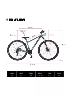 Imagen 2 del producto Bicicleta MTB Rebel Aro 29' Hombre