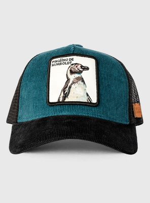 Imagen 1 del producto Jockey Pingüino Orgánico Petróleo Cotelé