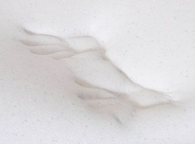 Imagen 2 del producto Topper 1 Plaza Plus Memory Foam