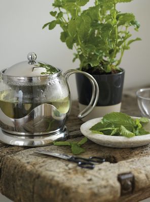 Imagen 2 del producto Tetera Infusor Izmir 2 Tazas