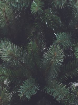 Imagen 2 del producto Árbol de Navidad Verde 230 cm 1170 Puntas Cashmere