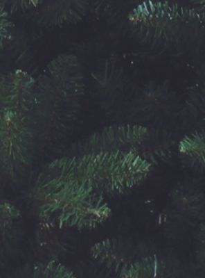 Imagen 2 del producto Árbol de Navidad Verde 210 cm 913 Puntas Salem