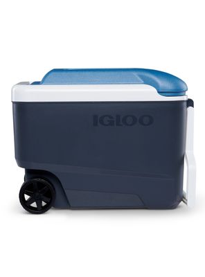 Cooler Roller Maxcold Gris 38 Litros
