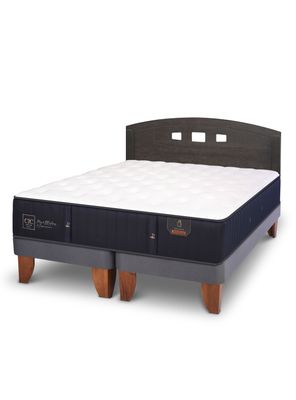 Imagen 1 del producto Cama Europea Premium Base Dividida 2 Plazas + Respaldo Gales Gris