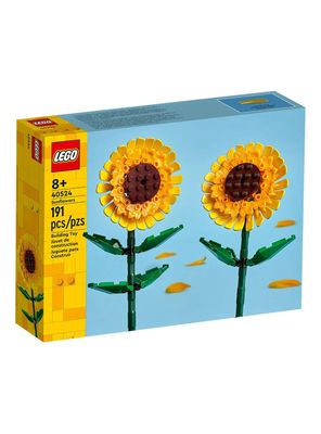 Bloques Girasoles