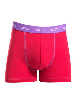 Imagen 2 del producto Pack 3 Boxer Corto con Elástico a la Vista