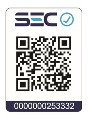 Imagen 2 del producto Campana Decorativa Pared CA-630PP 60 cm