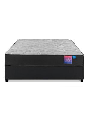 Imagen 2 del producto Cama Americana Therapdic Plus 2 Plazas BD Flex