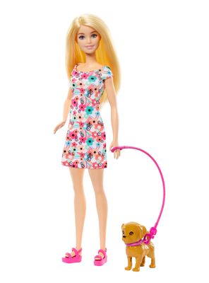 Imagen 2 del producto Set de Juego Paseo de Perrito con Silla de Ruedas