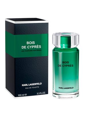 Imagen 2 del producto Perfume Boys de Cypres EDT Hombre 100ml Karl Lagerfeld