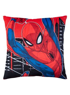 Imagen 1 del producto Cojín Superman Sense 40x40 cm