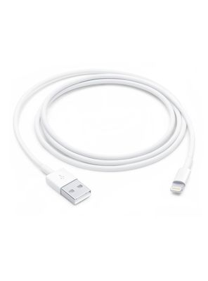 Apple Cable de Lightning a USB 1m