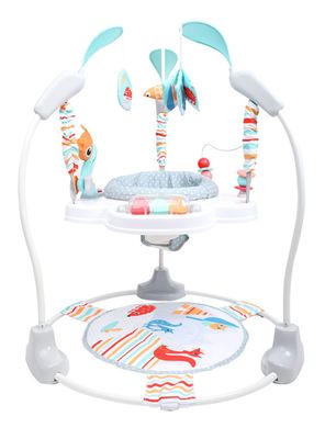 Centro de Actividad Forest Orange