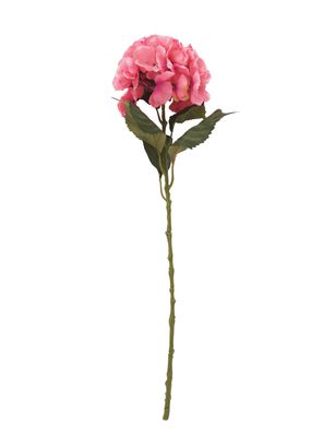 Imagen 2 del producto Ramo 2 Hortensia Rosa Palo