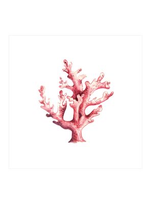 Imagen 1 del producto Canvas Marino 4