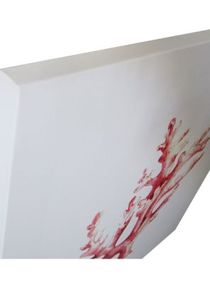 Imagen 2 del producto Canvas Marino 4