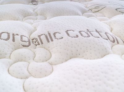 Imagen 2 del producto Cama Europea Cotton Organic King