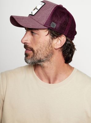 Imagen 2 del producto Jockey Siete Colores Orgánico