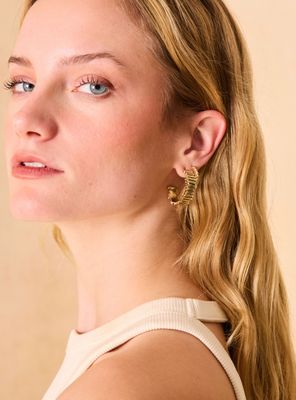 Imagen 2 del producto Aros Pack Argollas