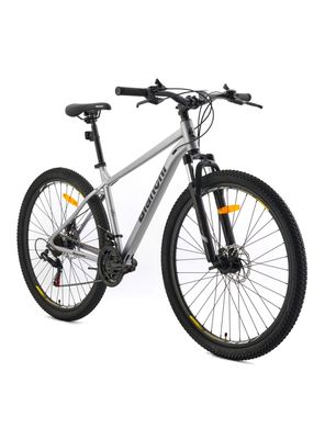 Imagen 2 del producto Bicicleta MTB Evolution 29"" SX Hombre