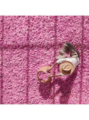 Imagen 2 del producto Perfume Dior Poison Mujer EDT 100 ml