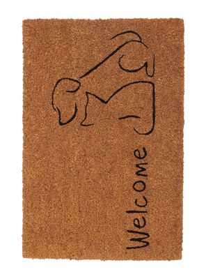 Imagen 1 del producto Limpiapiés Pets 40x60 cm Café