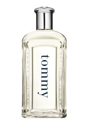 Imagen 1 del producto Perfume Tommy Hilfiger Hombre EDT 100 ml