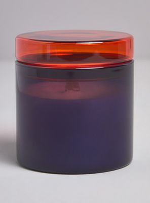 Vela Terra 3 Lavanda Vetiver 270G