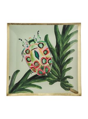 Plato Insecto 2 13 cm