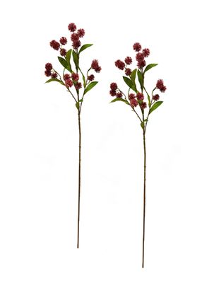 Ramas de Wasberry 2 Piezas