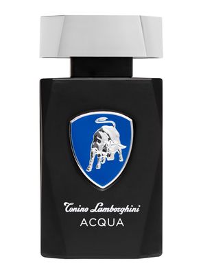 Perfume Acqua EDT Hombre 125 ml