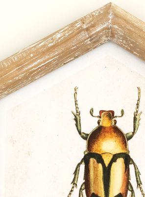 Imagen 2 del producto Cuadro Bicho 26x30 cm Dorado