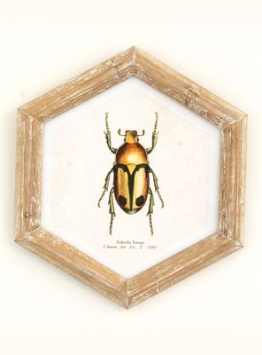 Cuadro Bicho 26x30 cm Dorado