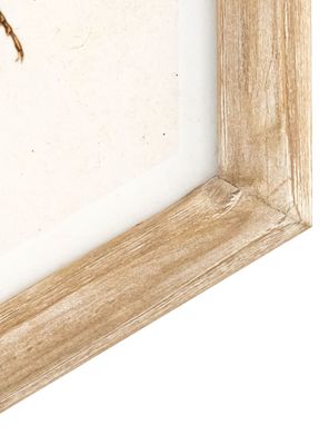 Imagen 2 del producto Cuadro Bicho 26x30 cm Café