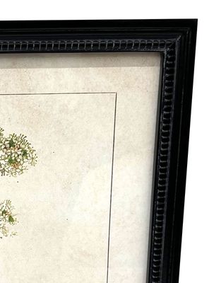 Imagen 2 del producto Cuadro Botánico 2 30x40 cm