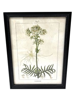 Imagen 1 del producto Cuadro Botánico 2 30x40 cm