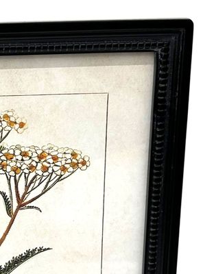 Imagen 2 del producto Cuadro Botánico 5 30x40 cm