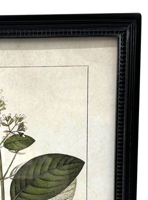 Imagen 2 del producto Cuadro Botánico 9 30x40 cm