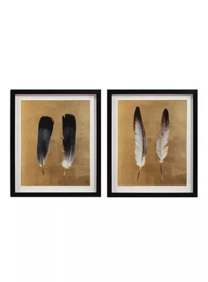 Set Dos Cuadros Plumas 36 x 43 cm