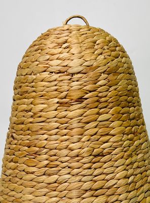 Imagen 2 del producto Lámpara Colgar Rapel